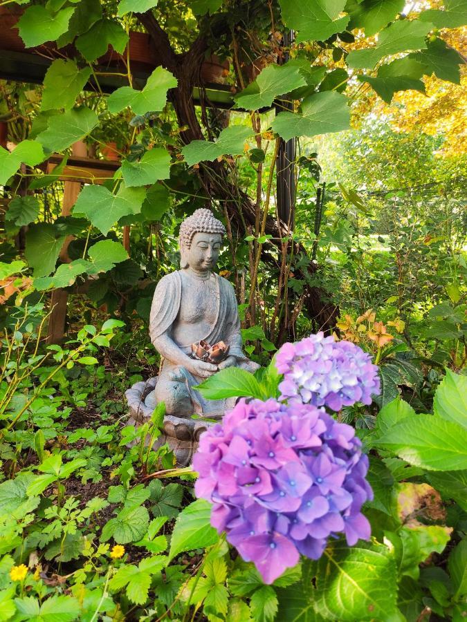 Accommodatie bij particulieren Modernes Am Park Mit Garten, Huehner & Enten München